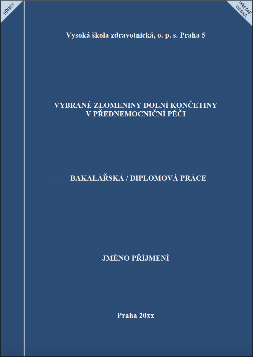 Vzor desek Vysoká škola zdravotnické a sociální práce Sv. Alžběty Bratislava Vazbičov.png
